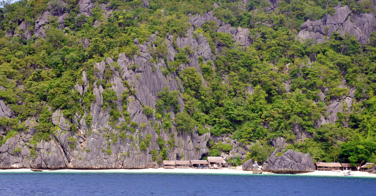 Destination vers Palawan, l’une des plus belles îles au monde ! Destination vers Palawan, l’une des plus belles îles au monde !