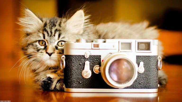 [Idée cadeau] 5 appareils photo pour Noël