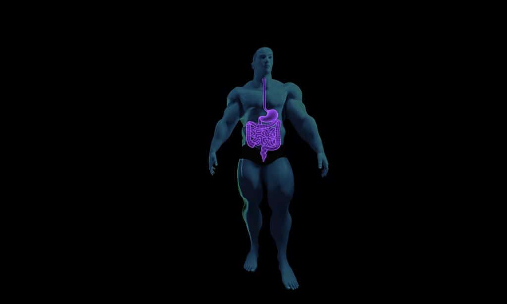 Santé : avoir une digestion plus saine