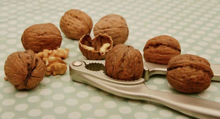 Ces aliments qui stimulent votre cerveau