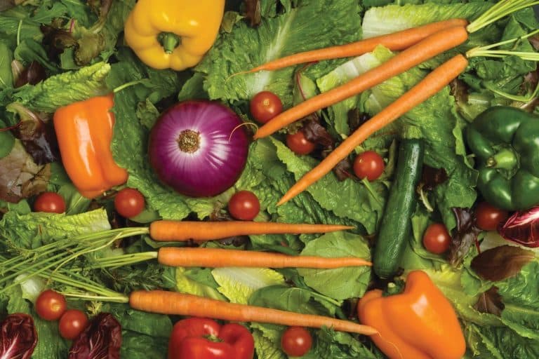 Les aliments qui stimulent le cerveau