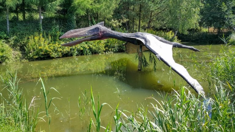 Des centaines d’œufs de ptérosaure fossilisés découverts