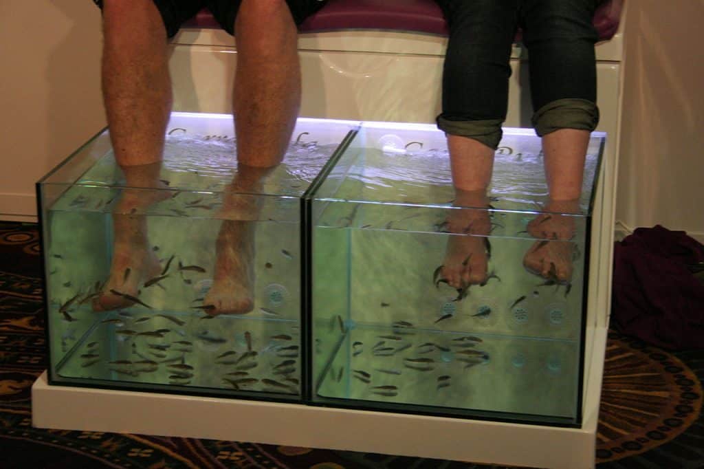 La fish pédicure pour prendre soin de vos pieds