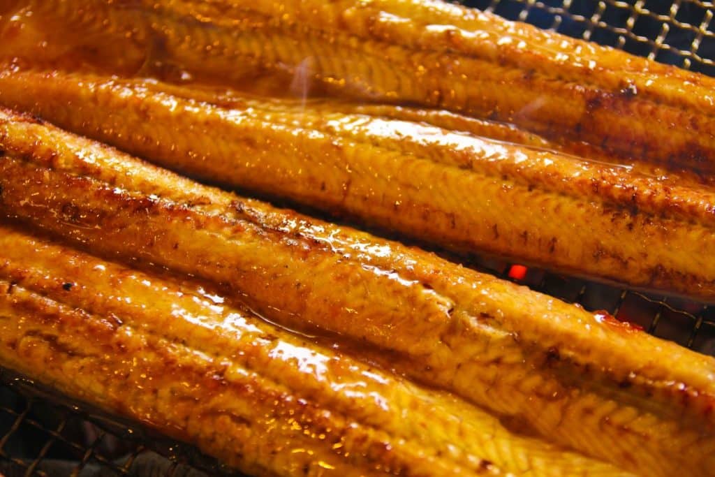Découvrez le restaurant Eels