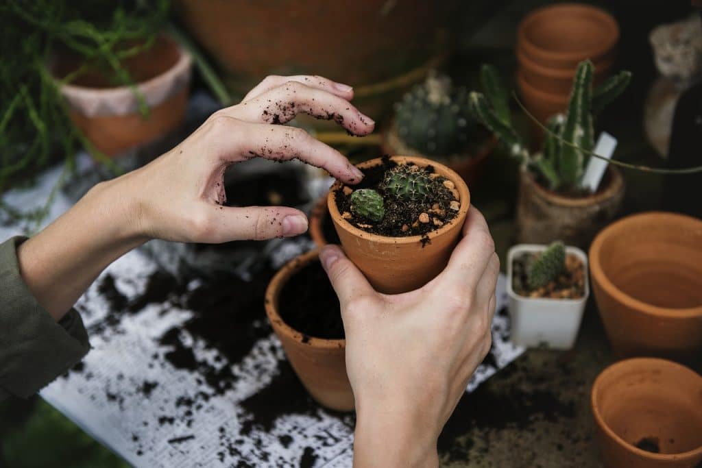 Quelques conseils pour bien choisir ses outils de jardinage