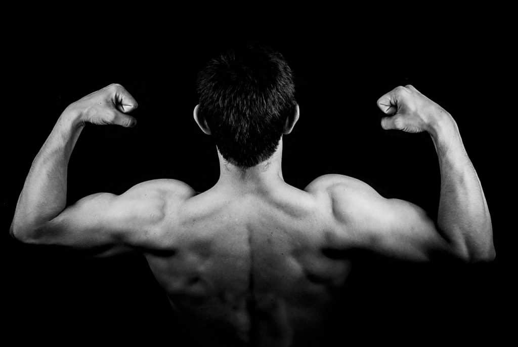 Améliorer la puissance musculaire pour avoir une vie plus longue