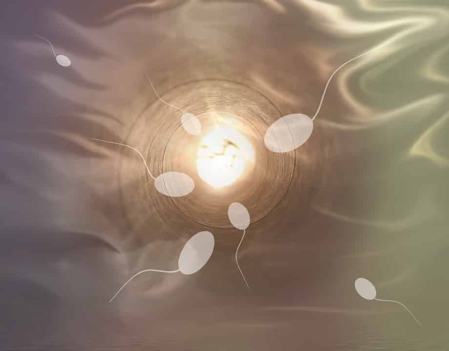 La pilule contraceptive masculine fait ses preuves